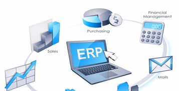 上海軟件服務外包 專業定制，助力企業數字化轉型