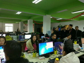 保定地區網店托管專業服務商推薦 一托無憂，五年運營保障與軟件外包服務解析