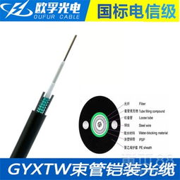 解讀GYXTW-12B1.3光纜 12芯單模室外中心豎管式單鎧裝光纜的技術(shù)特性與應(yīng)用