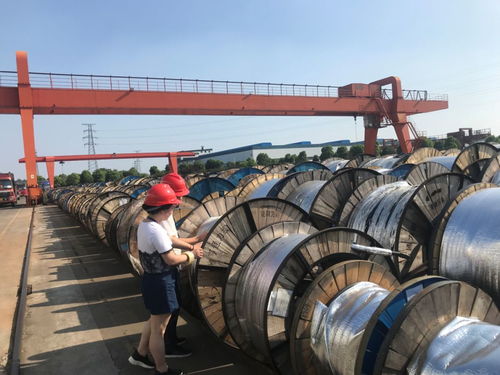 光纜鑄夢(mèng) 不畏驕陽，C位出道